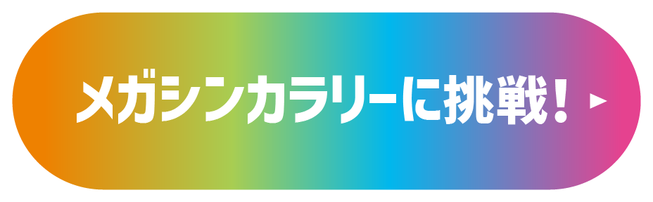 メガシンカラリーに挑戦!